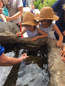 C7A9873C-D49A-4939-B423-F1BEA9A2C324