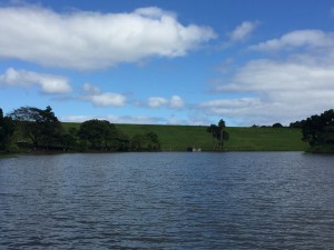 DD9EC725-CBB9-4635-ABB9-085C76393DD9