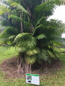 E6F0DA43-28ED-45CB-B4BF-DA42BD57C09A