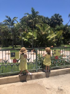 E74DC6FA-602C-4A3C-8B83-22BE740B3B56