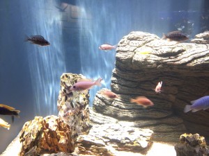 F2EC7AB1-9EDF-4475-BF9C-049969480102