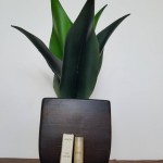 13F9F0E8-10B1-4535-941B-BA96296E663B