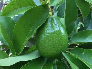 2158BCE0-30EB-46D7-9C82-68C0BC4D70CB