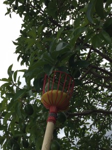 99225D3D-625F-4488-902B-0428056FD5AA