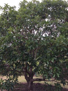 C5867521-2EC2-42DD-9566-03DE637E3AC7